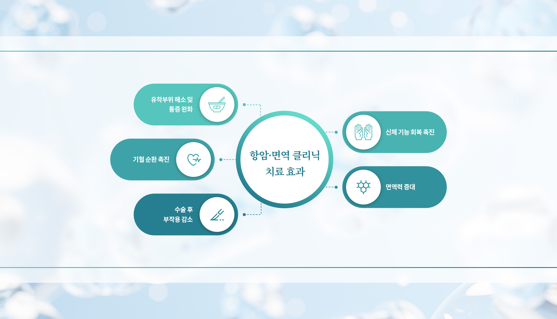 항암면역클리닉 02